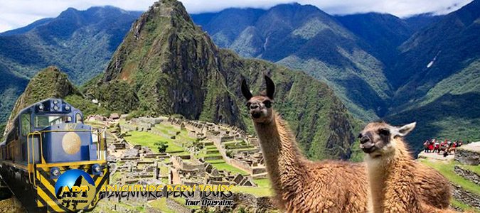 Machu Picchu tours en Van y Tren