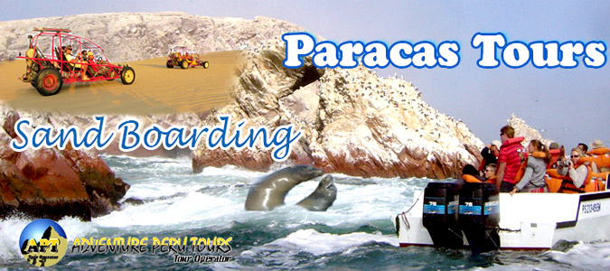 Aventura en Paracas